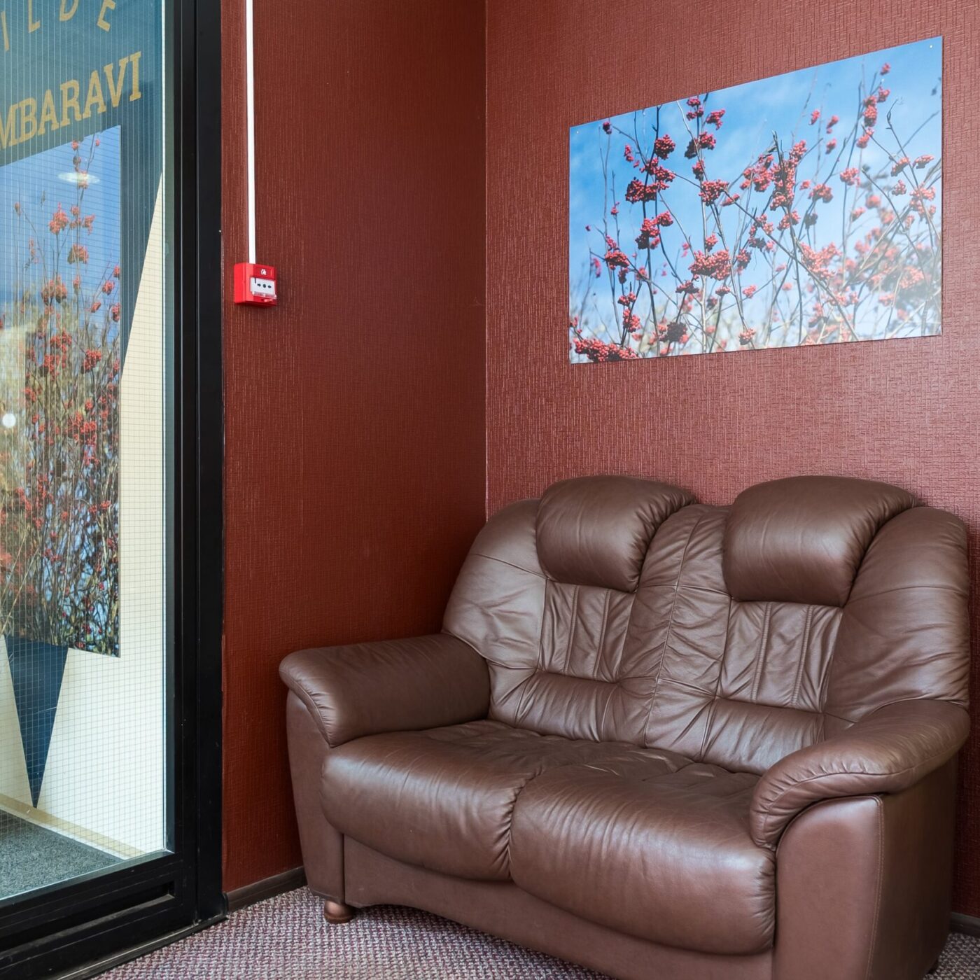 vilde_hambaravi-5-min